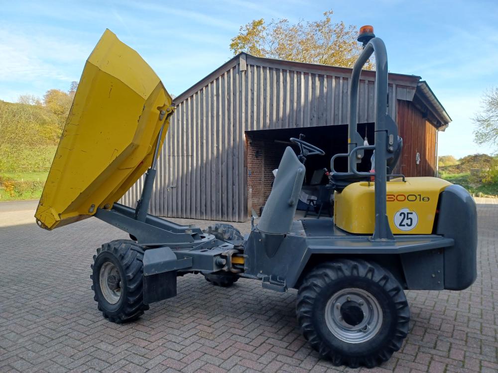 Wacker Neuson 3001, 2019